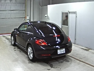 VOLKSWAGEN THE BEETLE