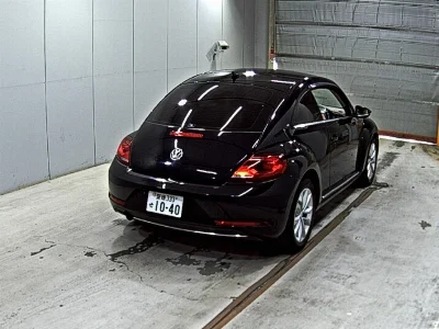 VOLKSWAGEN THE BEETLE
