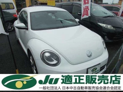 VOLKSWAGEN THE BEETLE