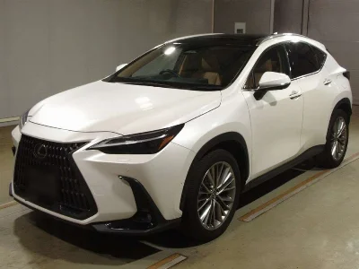LEXUS NX, 2023 — лот японского аукциона