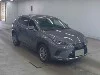 LEXUS NX, 2019 — лот японского аукциона