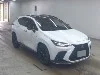 LEXUS NX, 2025 — лот японского аукциона