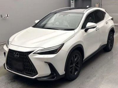 LEXUS NX, 2021 — лот японского аукциона