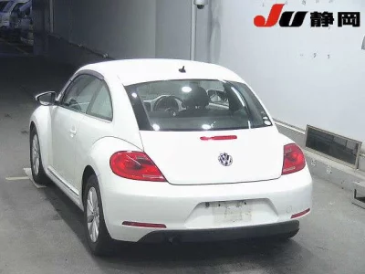 VOLKSWAGEN THE BEETLE