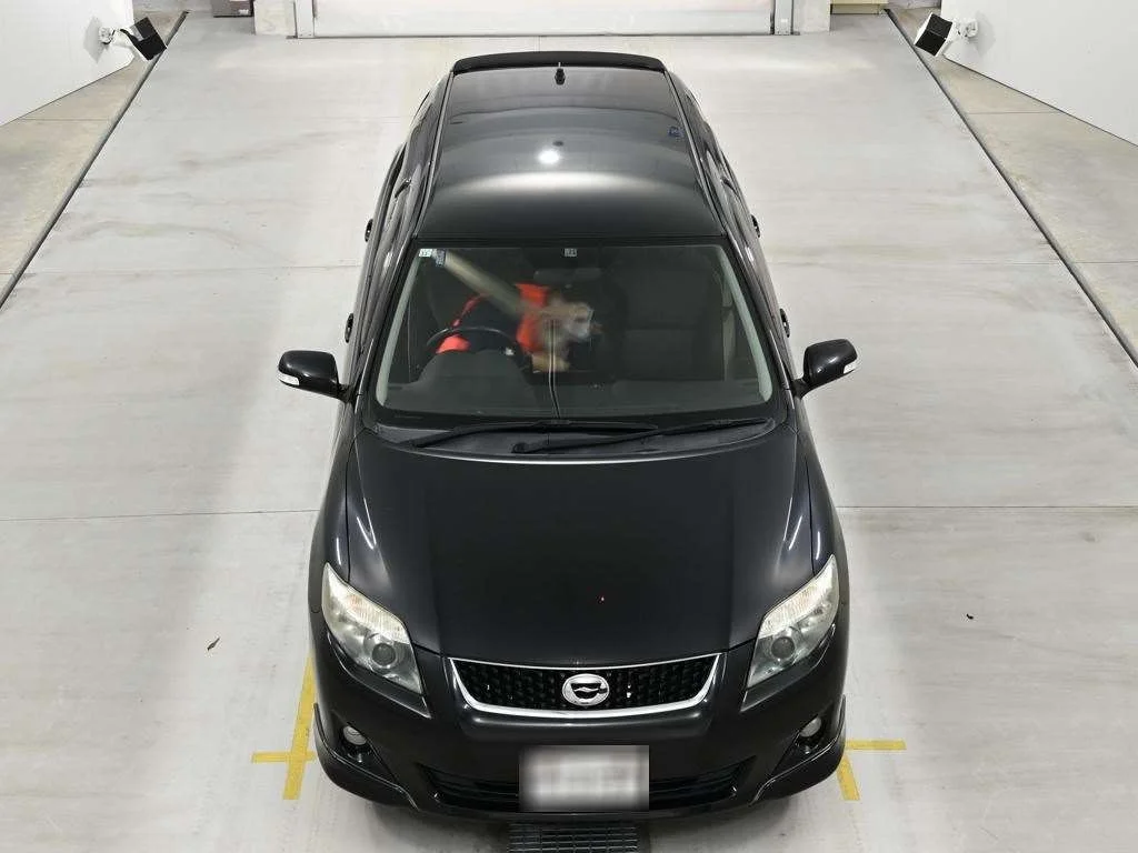 Toyota Corolla Fielder X 202, миниатюра 7