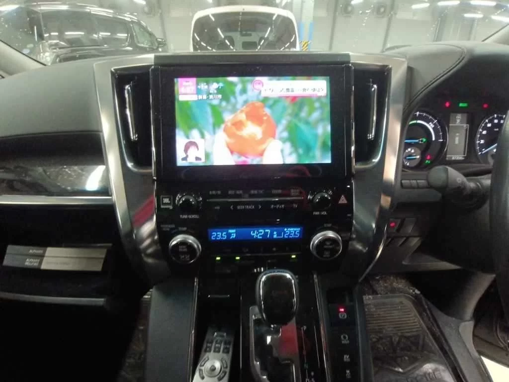Toyota Alphard SR 4WD, миниатюра 11