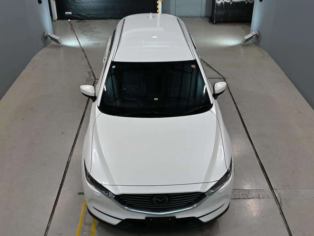 Mazda CX-8  с аукциона в Японии