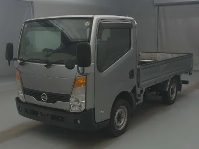 NISSAN ATLAS, 2009 — лот японского аукциона
