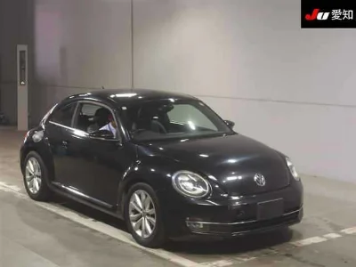 VOLKSWAGEN THE BEETLE