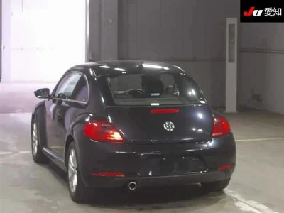VOLKSWAGEN THE BEETLE