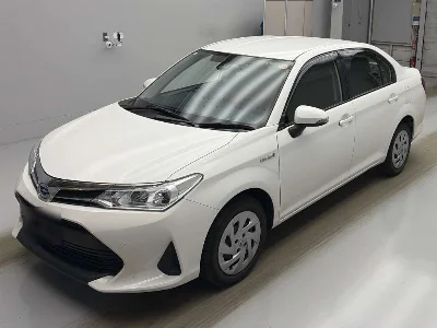 TOYOTA COROLLA AXIO, 2019 — лот японского аукциона