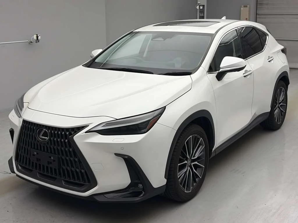 Lexus NX250 2023