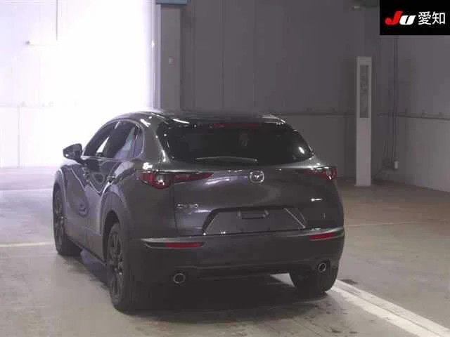 Mazda CX-30  с аукциона в Японии