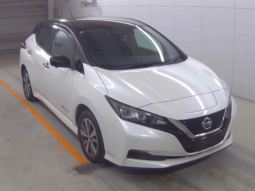 Nissan Leaf 2019