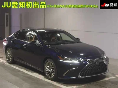 Lexus ES300h