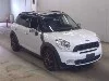 MINI MINI, 2011 — лот японского аукциона