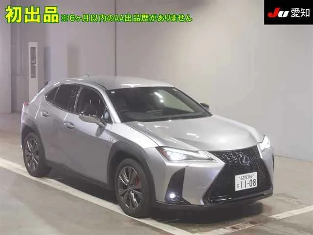 Lexus UX300h 2024
