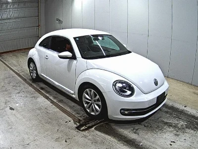 VOLKSWAGEN THE BEETLE