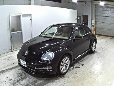 VOLKSWAGEN THE BEETLE