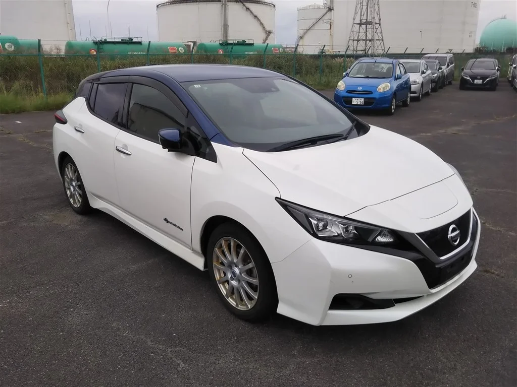 Nissan Leaf 2019
