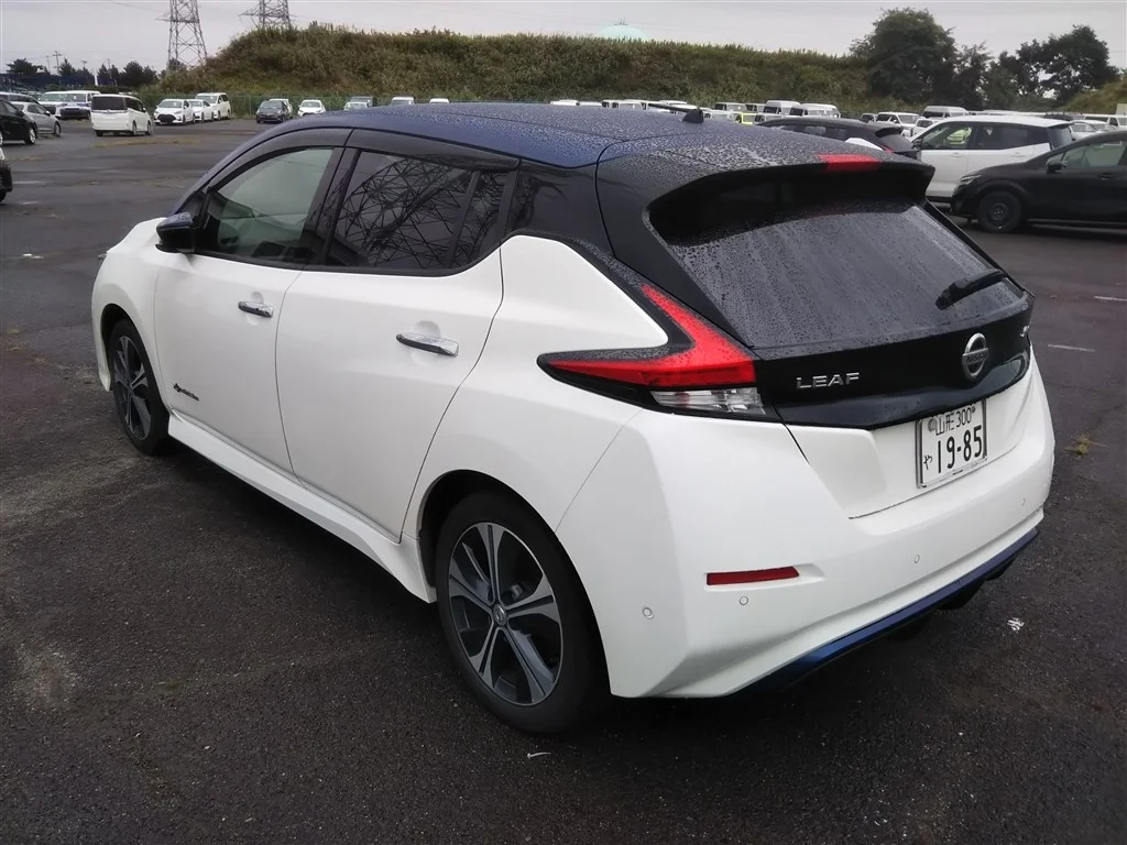 Nissan Leaf 2018