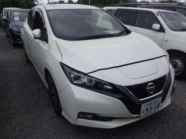 Nissan Leaf 2018