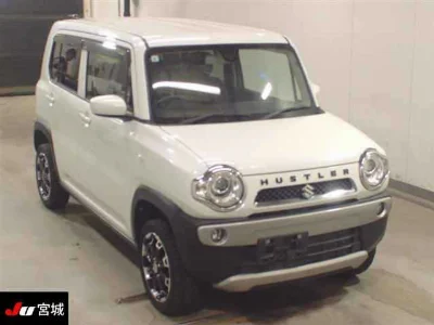 Suzuki HUSTLER