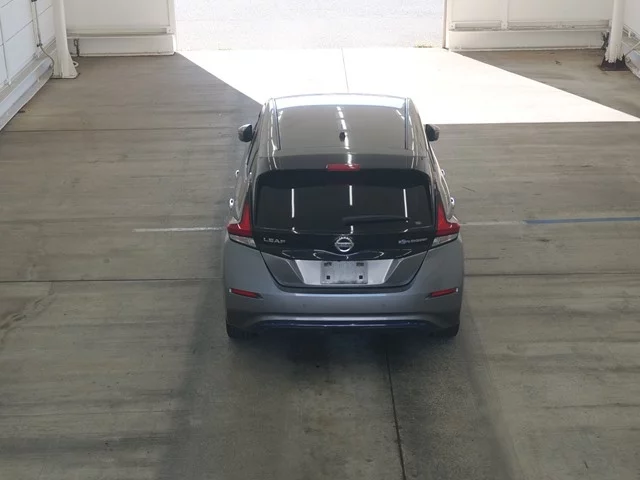 Nissan Leaf  с аукциона в Японии