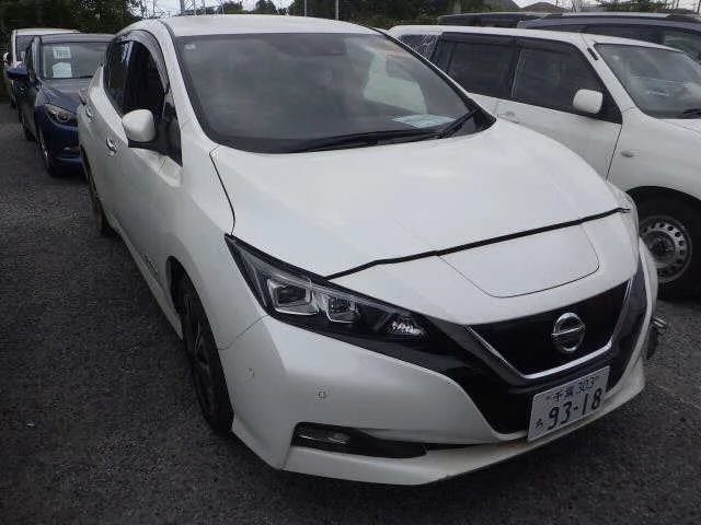 Nissan Leaf 2018