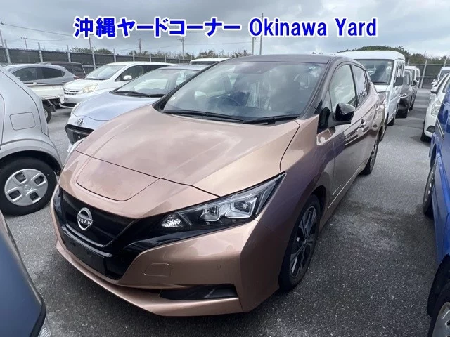Nissan Leaf 2021