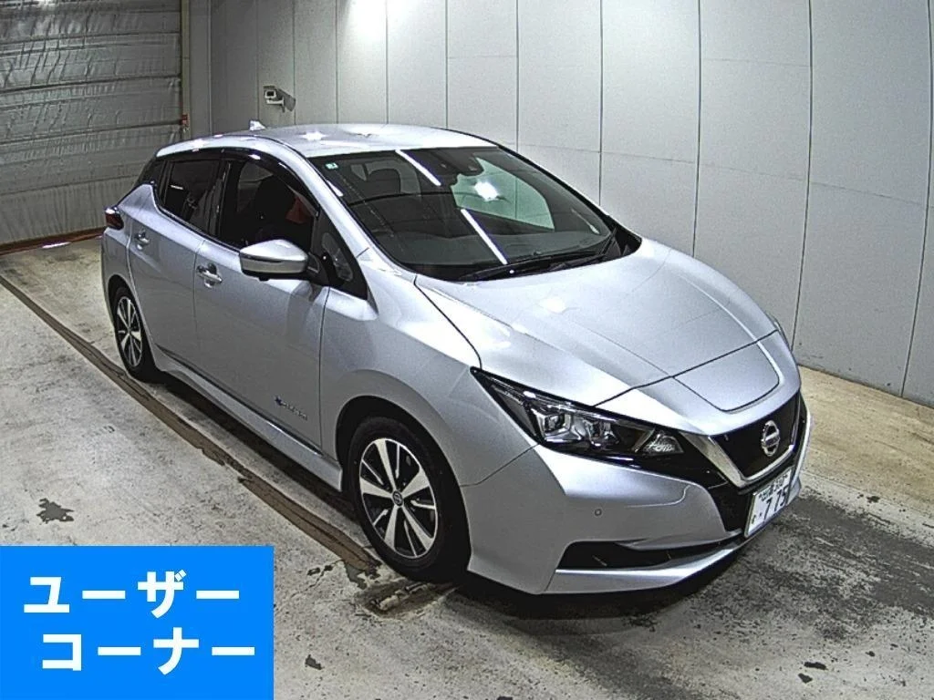 Nissan Leaf 2021