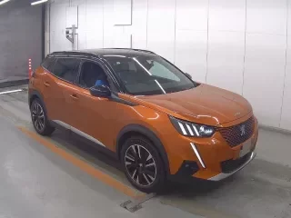 PEUGEOT E-2008