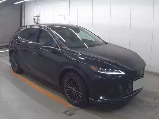 LEXUS RX 1