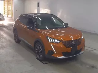 PEUGEOT E-2008