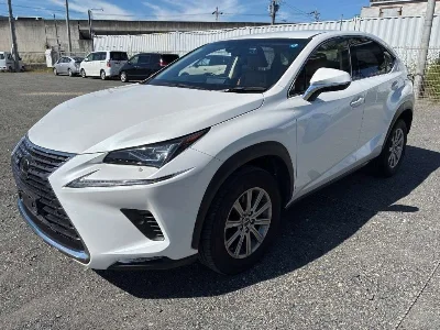 Lexus NX300