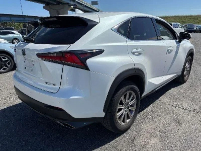 Lexus NX300