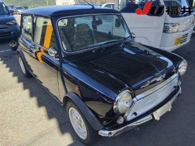 ROVER MINI