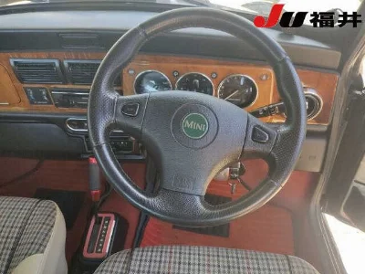 ROVER MINI