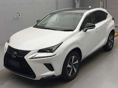 Lexus NX300h