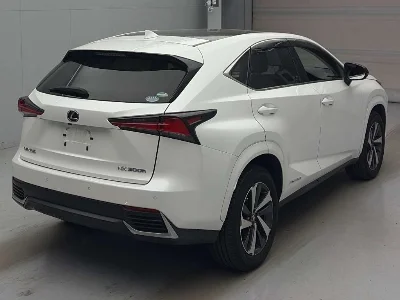 Lexus NX300h