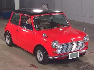 ROVER MINI