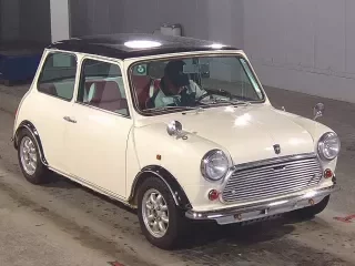 ROVER MINI