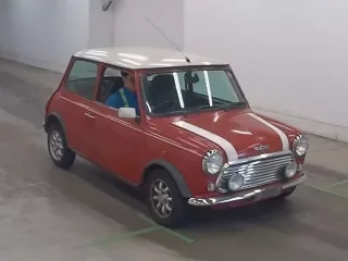 ROVER MINI