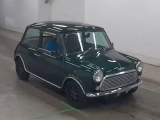 ROVER MINI