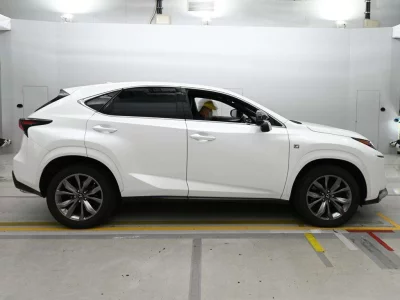 Lexus NX300