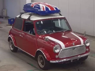 ROVER MINI