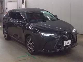 LEXUS NX 1