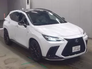LEXUS NX 1