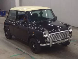 ROVER MINI
