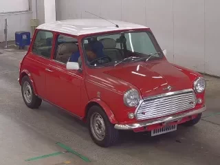 ROVER MINI